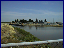 BEGINNING OF INTAKE CHANNEL NEAR FISH COLLECTION FACILITY